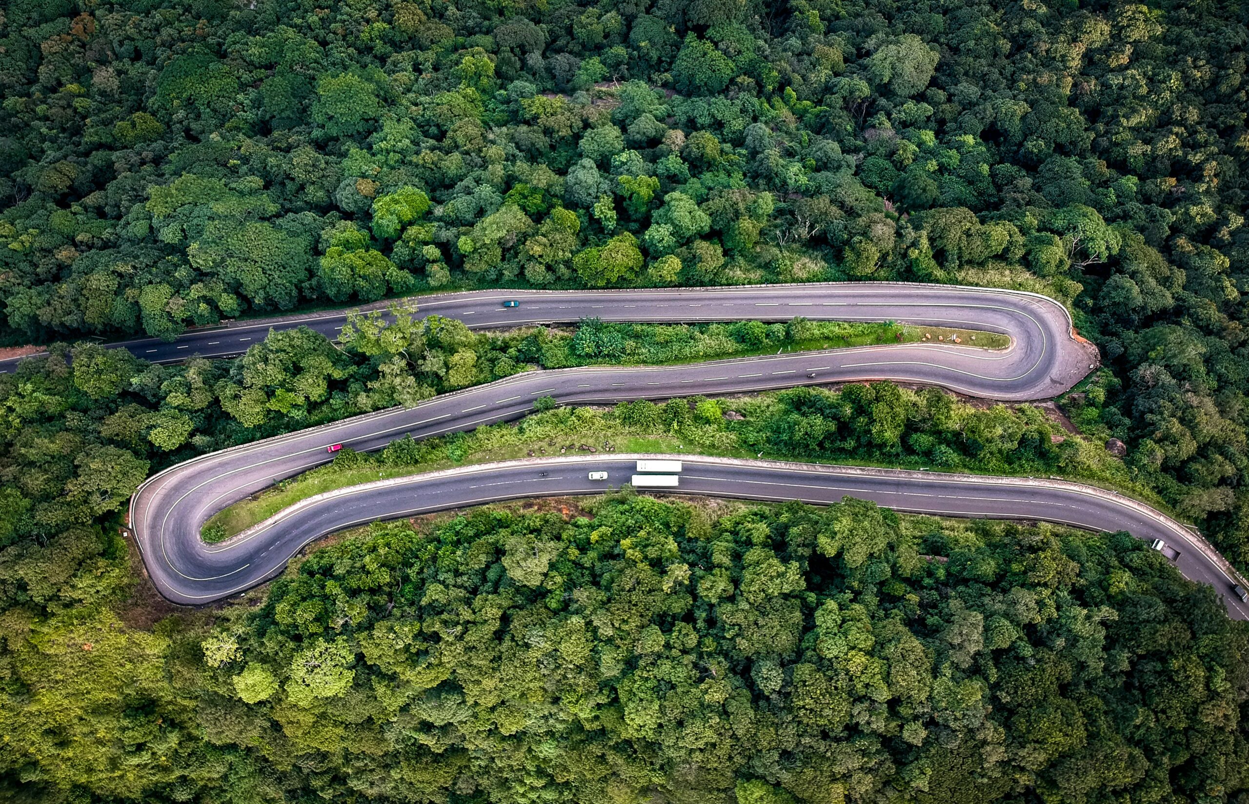 Designing Cities for Wildlife How Urban Planning Enhances Wildlife Corridors