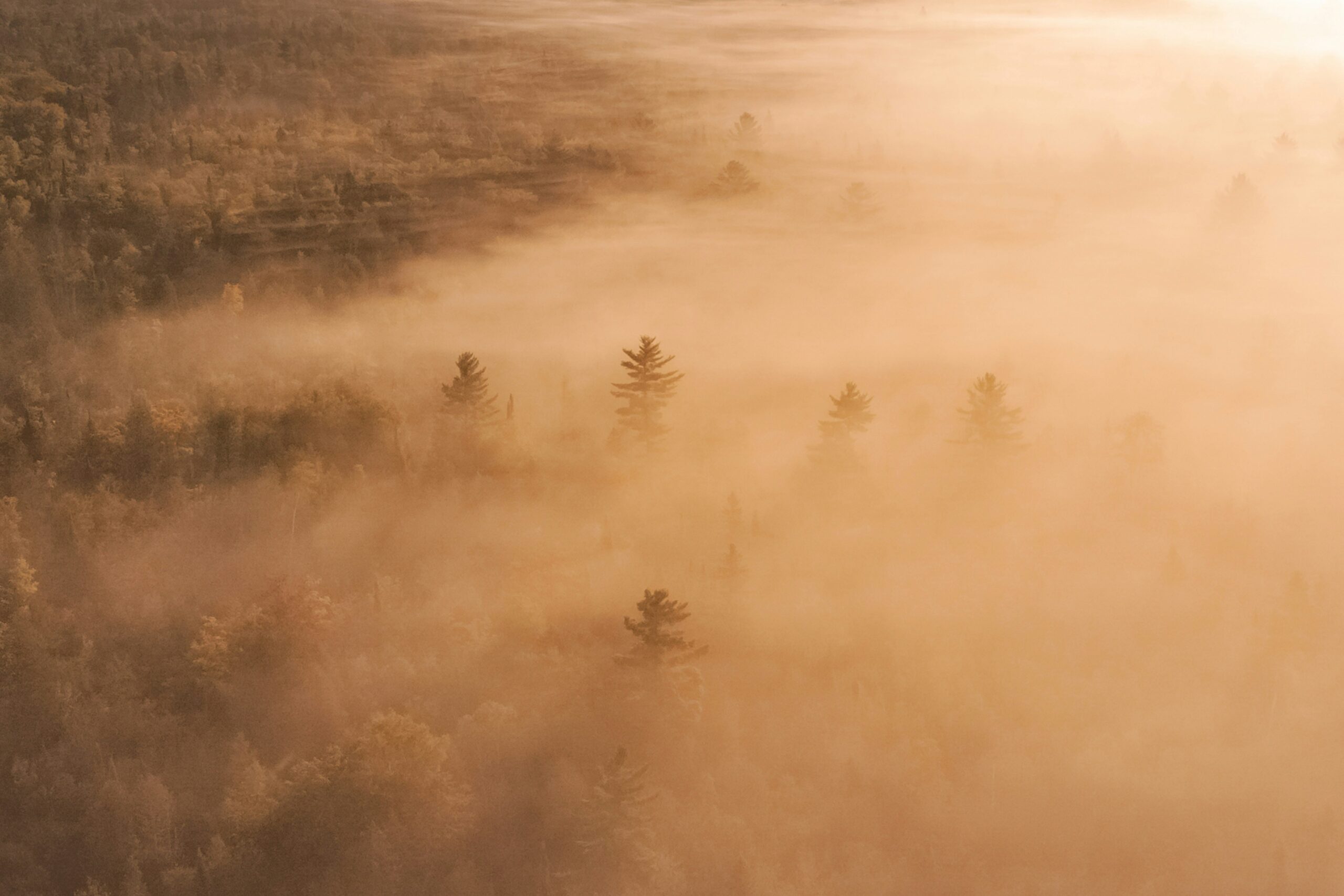 Threading the Wild Why Connecting Landscapes Safeguards Our Natural World