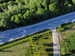 Adam Gebb - Wildlife Road Crossings