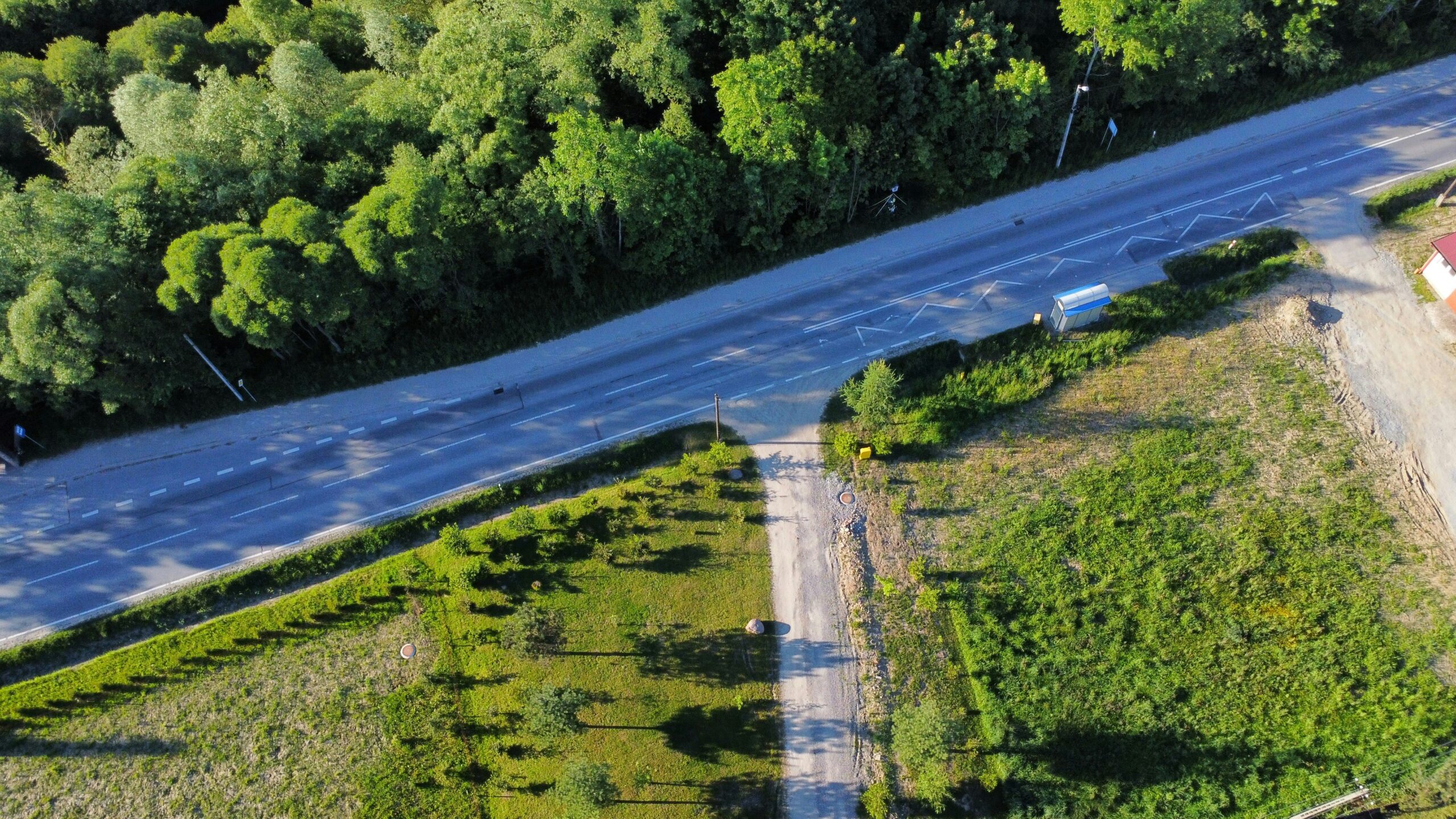 Adam Gebb - Wildlife Road Crossings