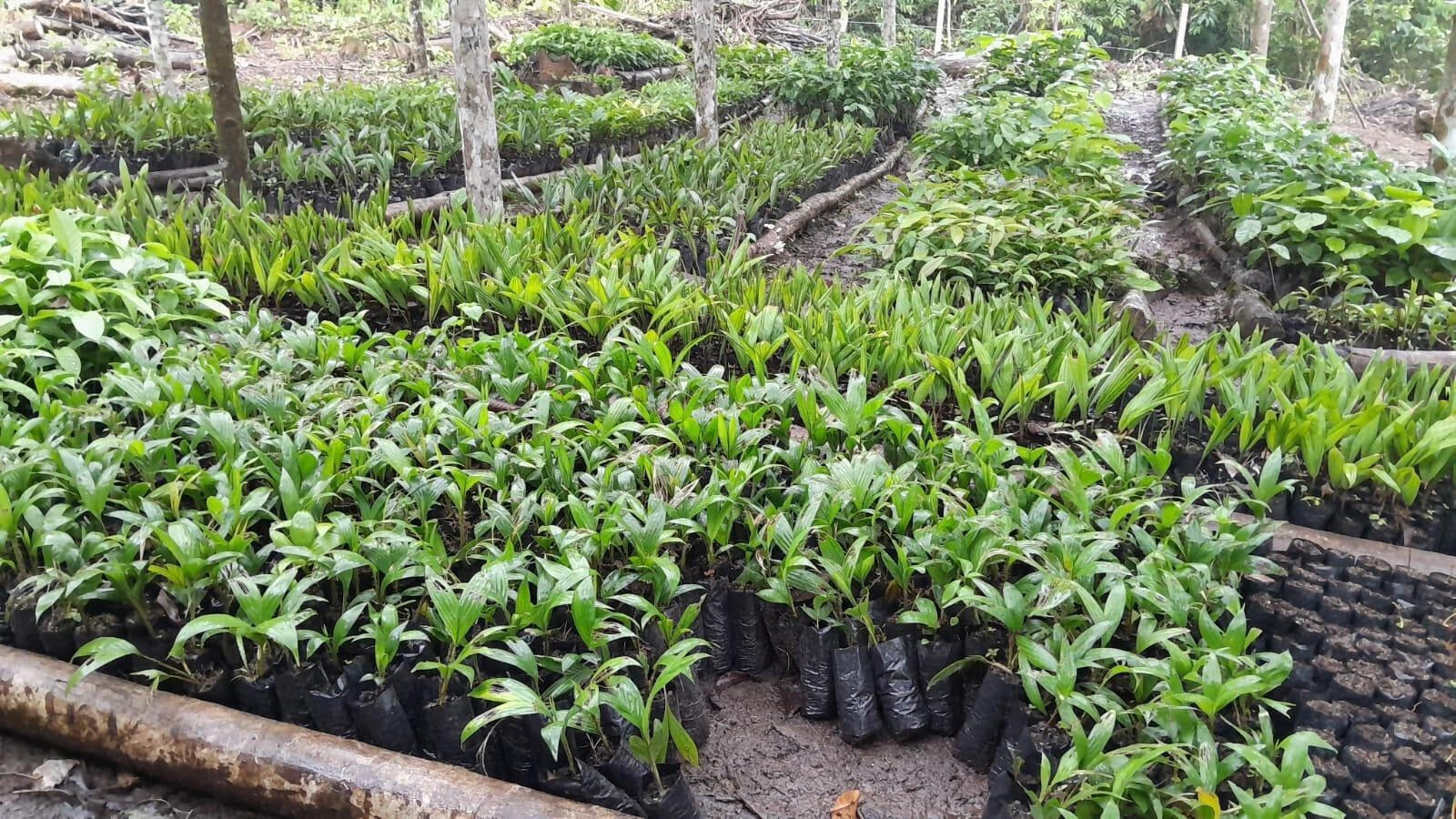 Adam Gebb - Food Sovereignty