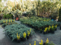 Adam Gebb - Food Sovereignty