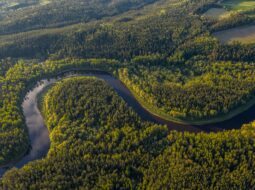 Adam Gebb - Conservation