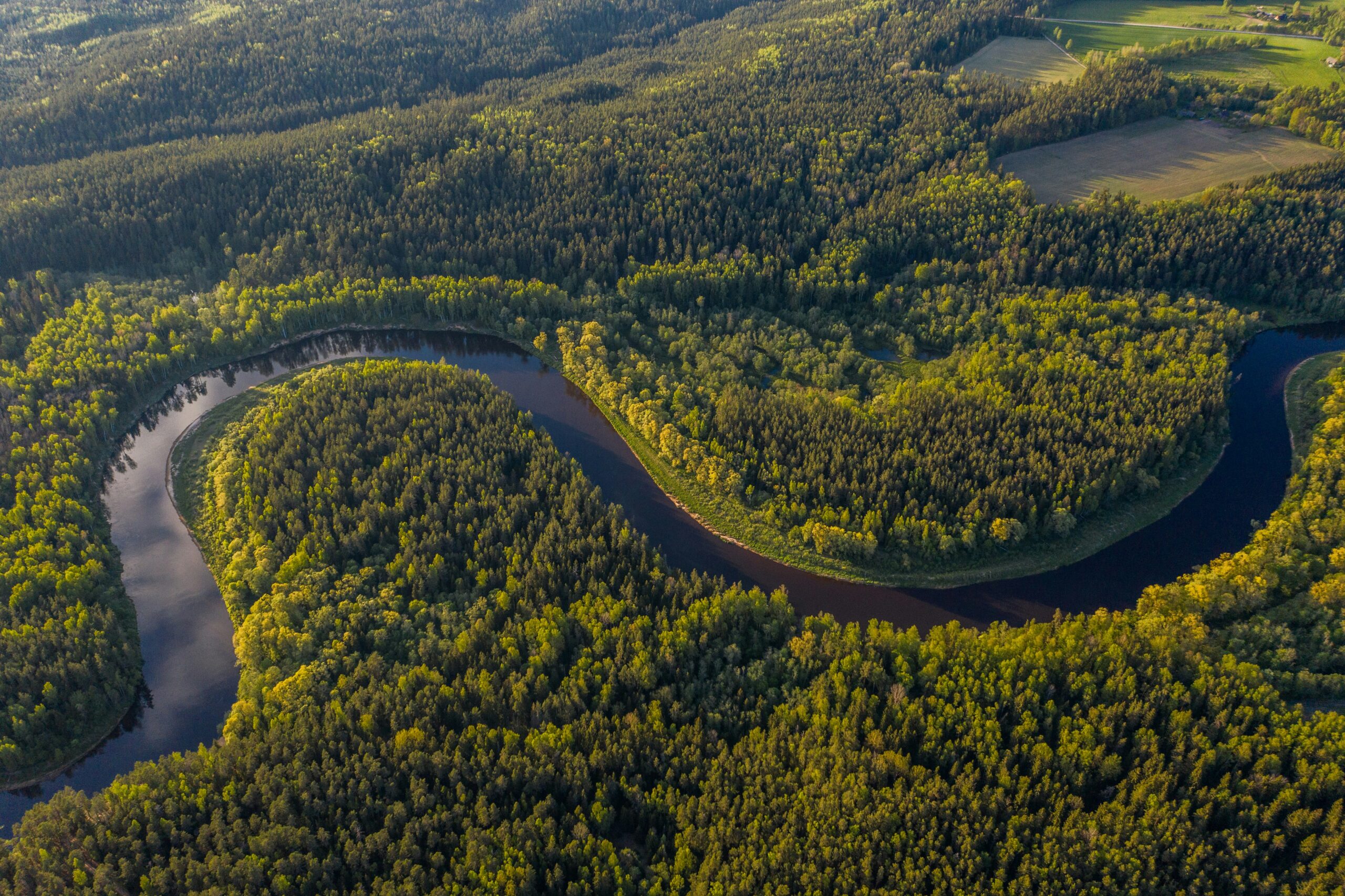 Adam Gebb - Conservation