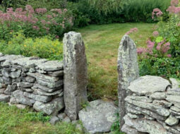 Adam Gebb- Native Landscaping